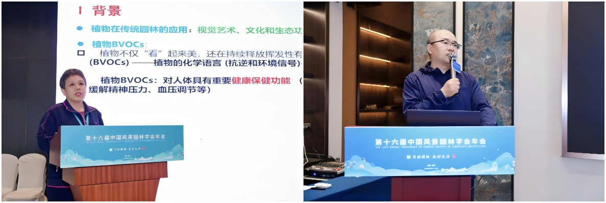 WPS拼图1.png