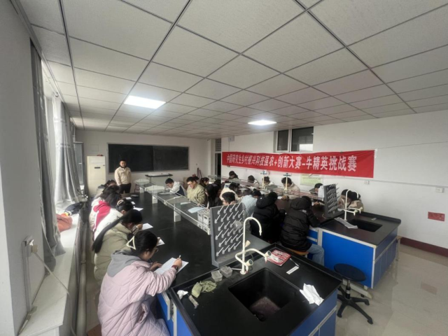 20250414174459580987600749.png 图片2.png