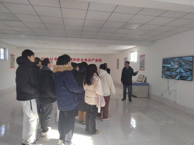 20260208177051862948509683.png 图片1.png