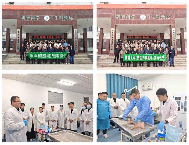 20260314177349207650404533.jpg 微信图片_20260314164200_87_2522(1).jpg